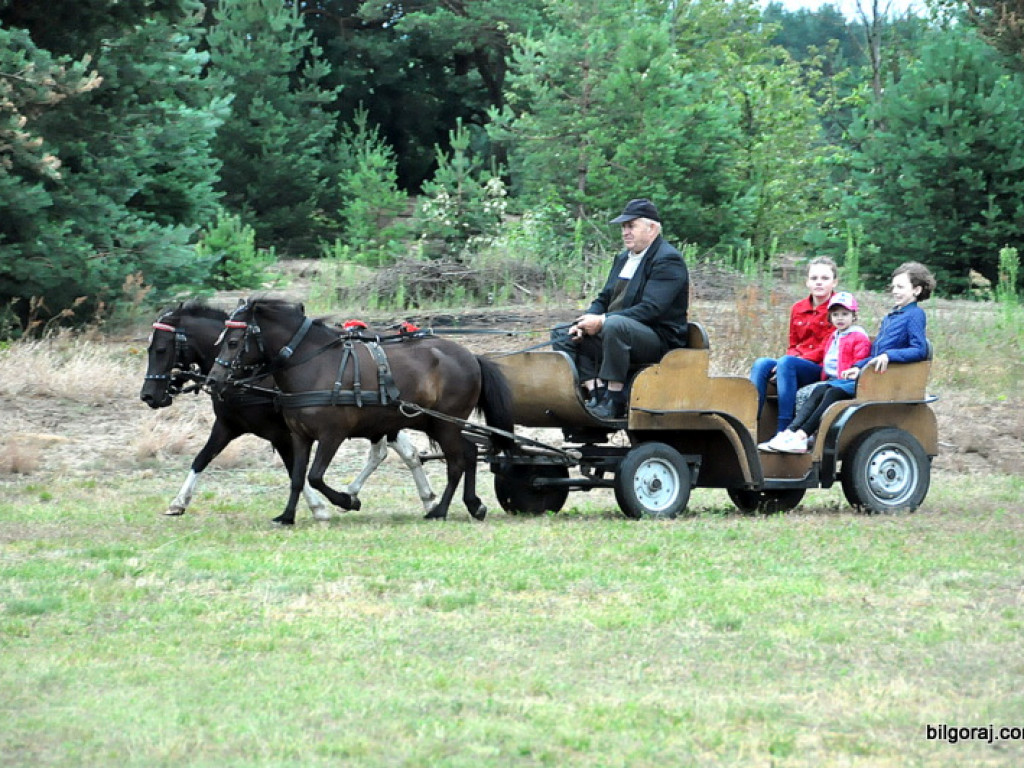 W Bukowej odbyło się święto jagód (FOTO)