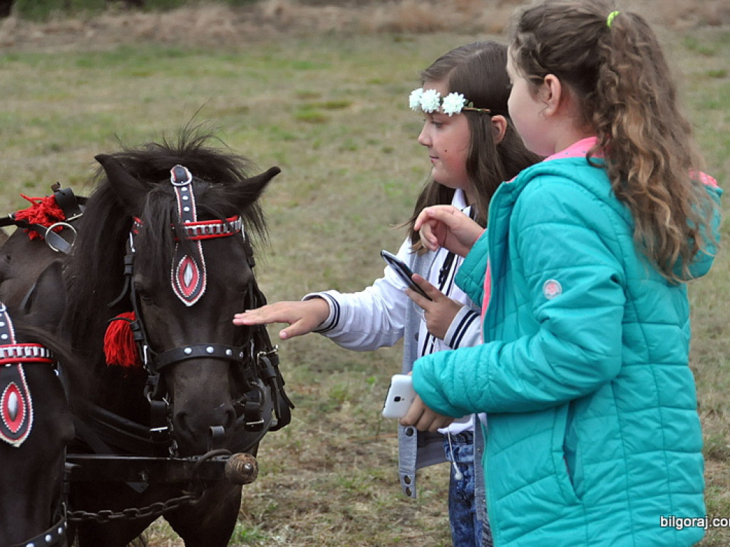 W Bukowej odbyło się święto jagód (FOTO)