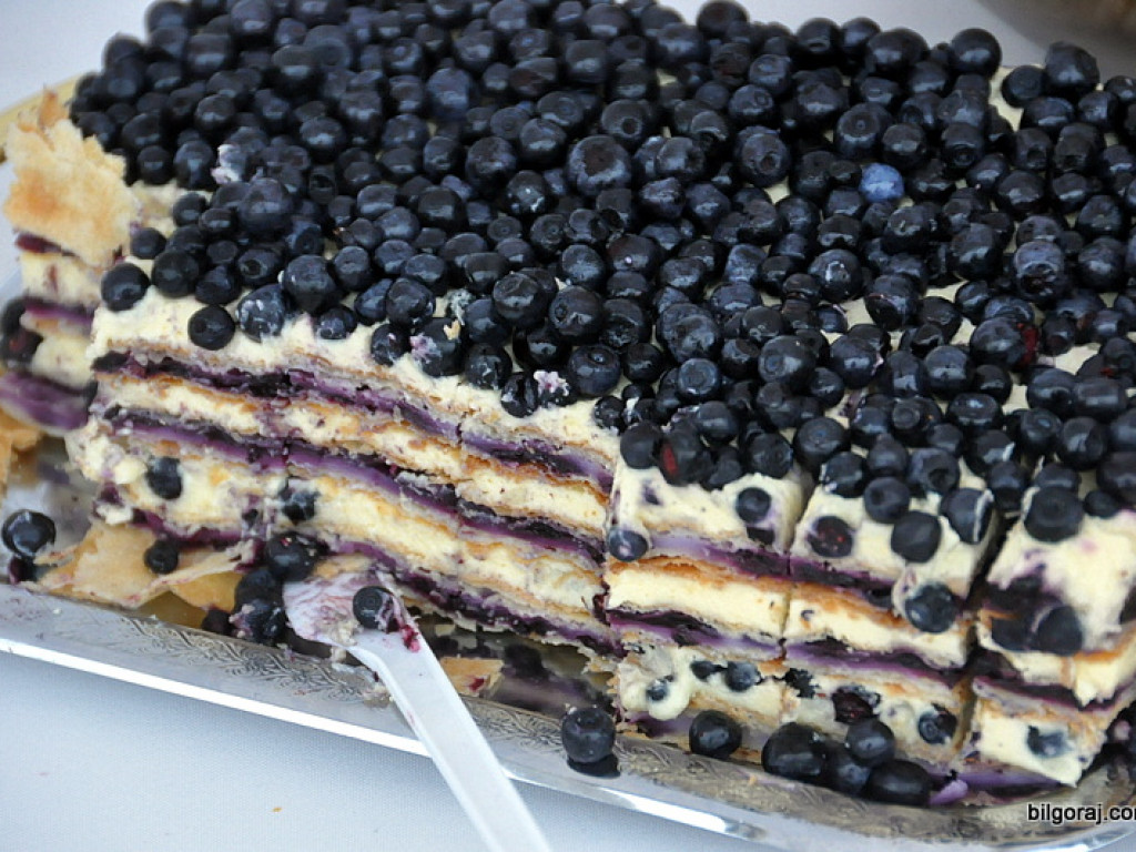 W Bukowej odbyło się święto jagód (FOTO)