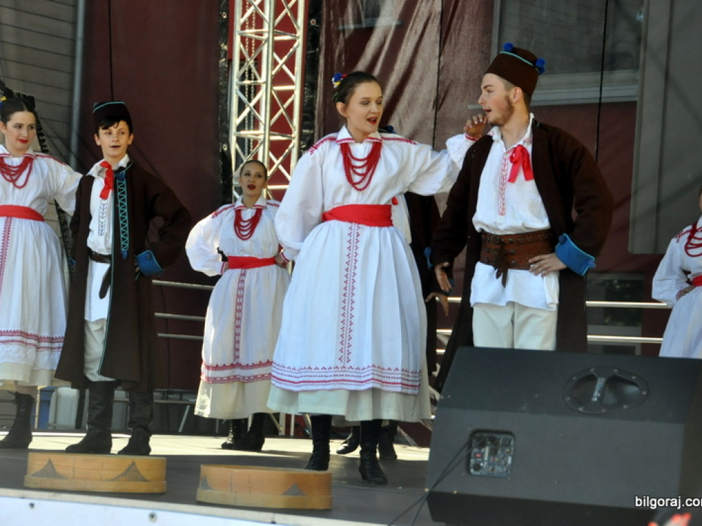 Oficjalne powitanie młodzieży z Litwy w Biłgoraju (FOTO, VIDEO)