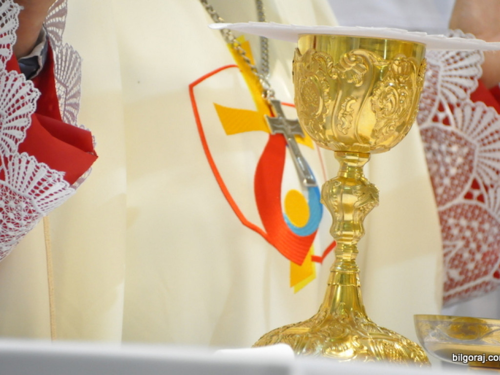Światowe Dni Młodzieży - młodzież u Maryi Wniebowziętej (FOTO)