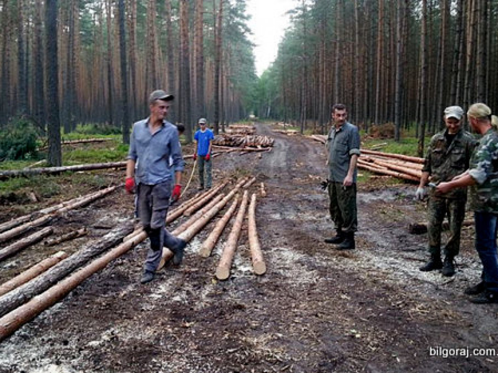Odbudowują bunkier porucznika Bartoszewskiego