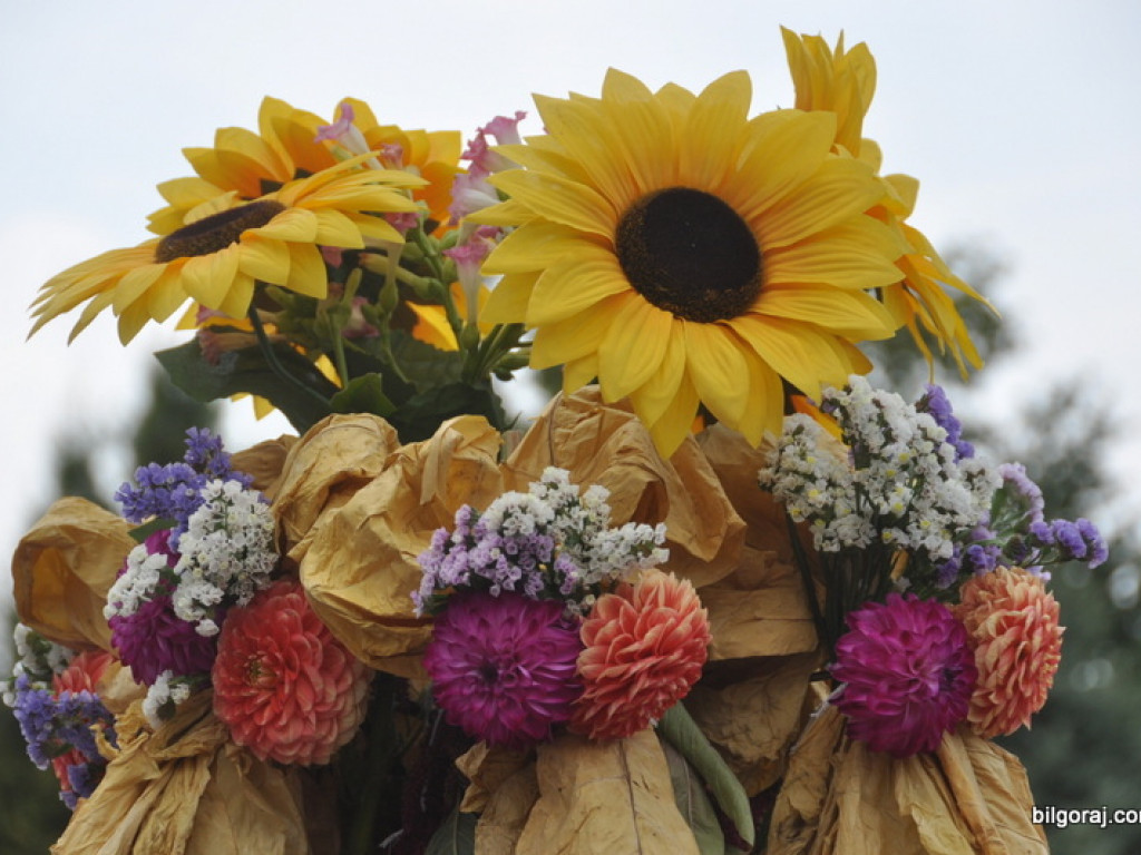 Tytoniaki 2016 - Centralne Święto Plantatorów Tytoniu (FOTO)