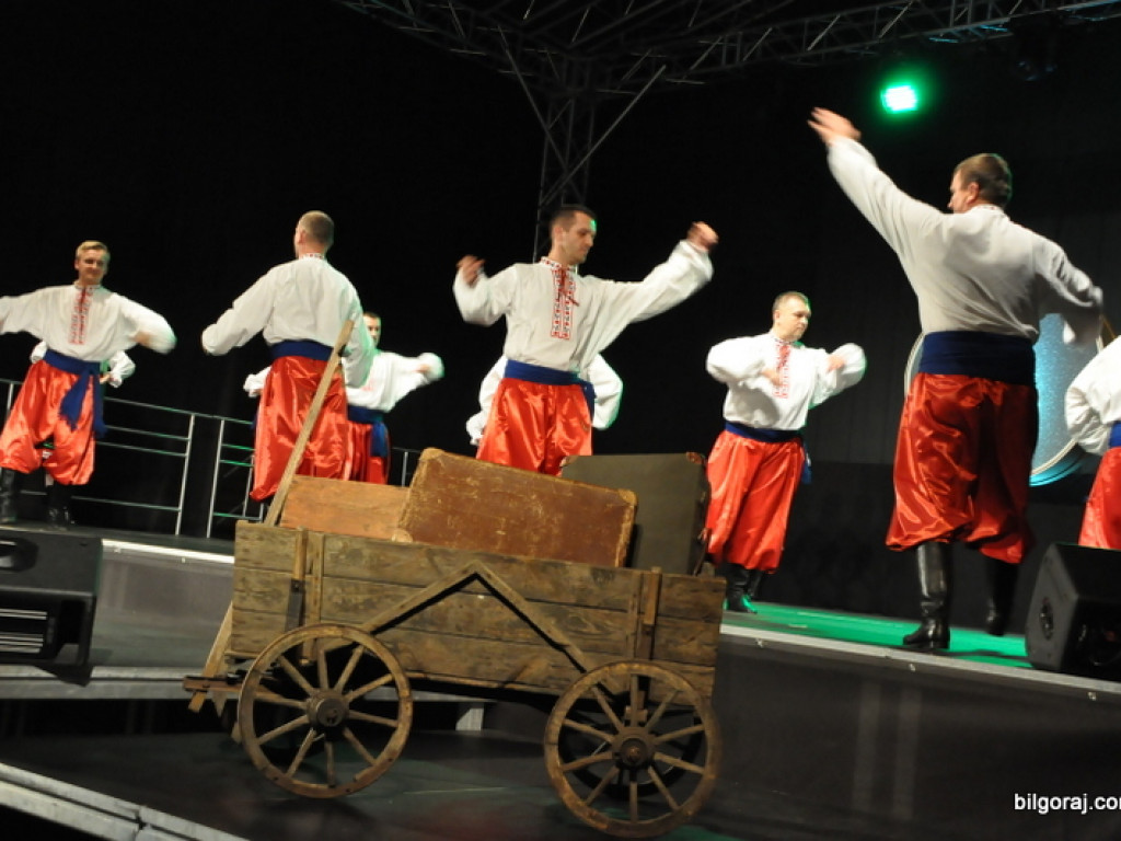 Festiwal kultur - Biłgoraj 2016 (FOTO)