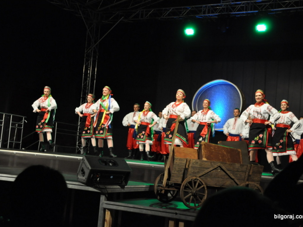 Festiwal kultur - Biłgoraj 2016 (FOTO)