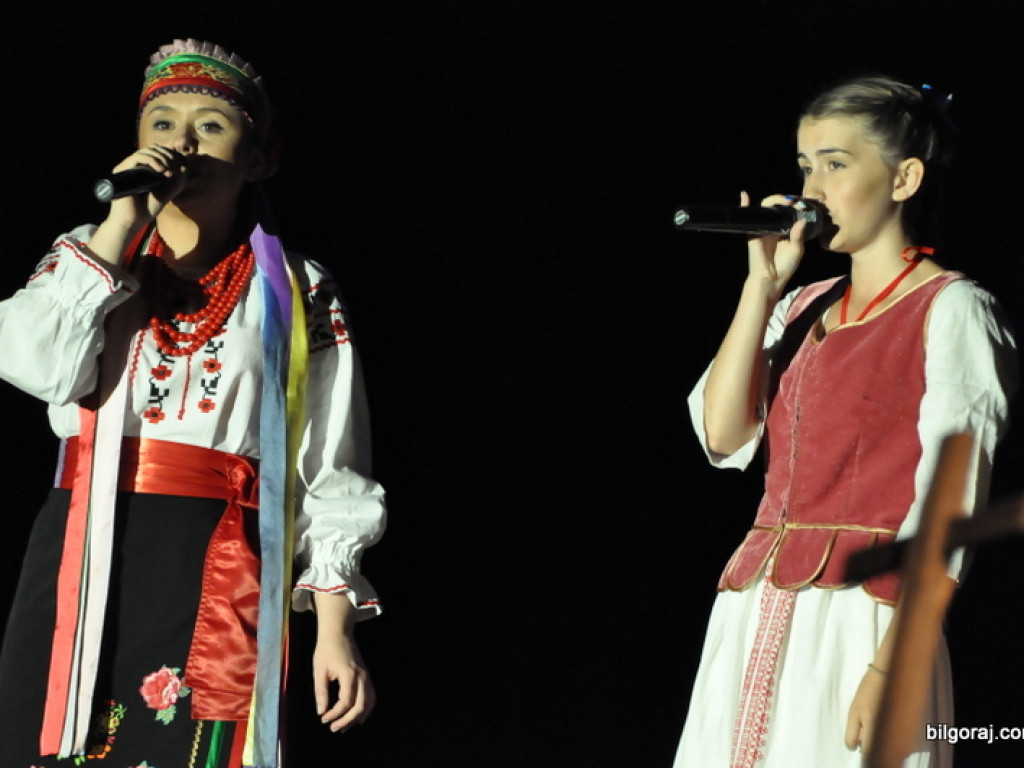 Festiwal kultur - Biłgoraj 2016 (FOTO)