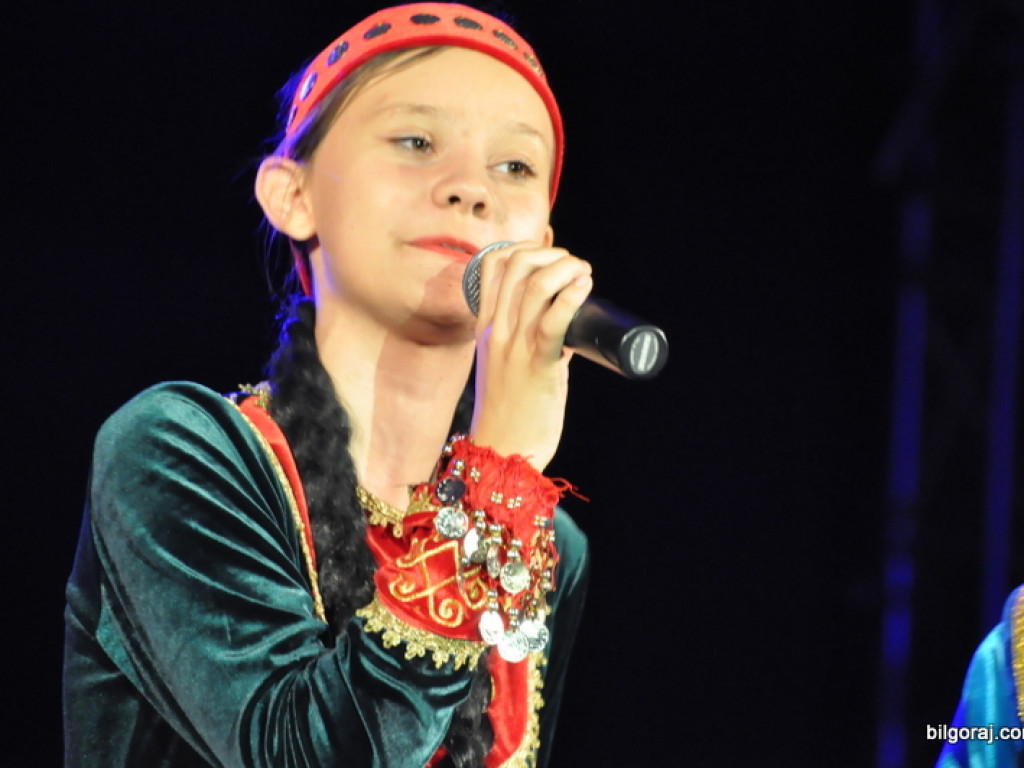 Festiwal kultur - Biłgoraj 2016 (FOTO)