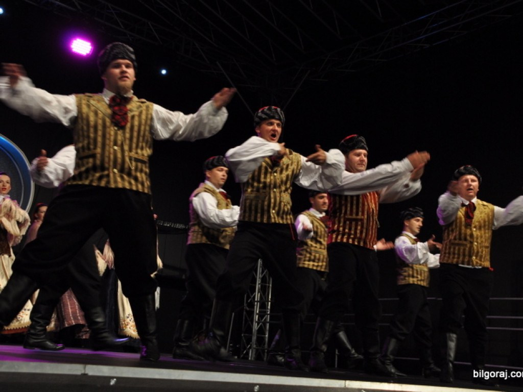Festiwal kultur - Biłgoraj 2016 (FOTO)