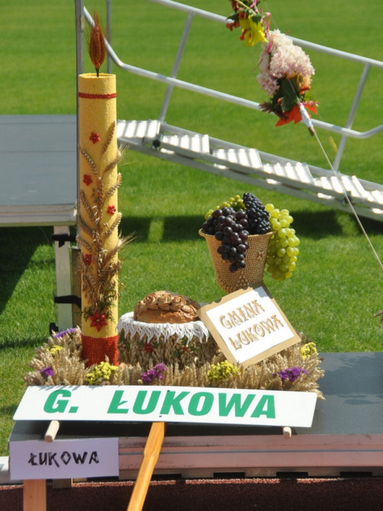 Dożynki Powiatowe - Biłgoraj 2016 (FOTO, VIDEO)