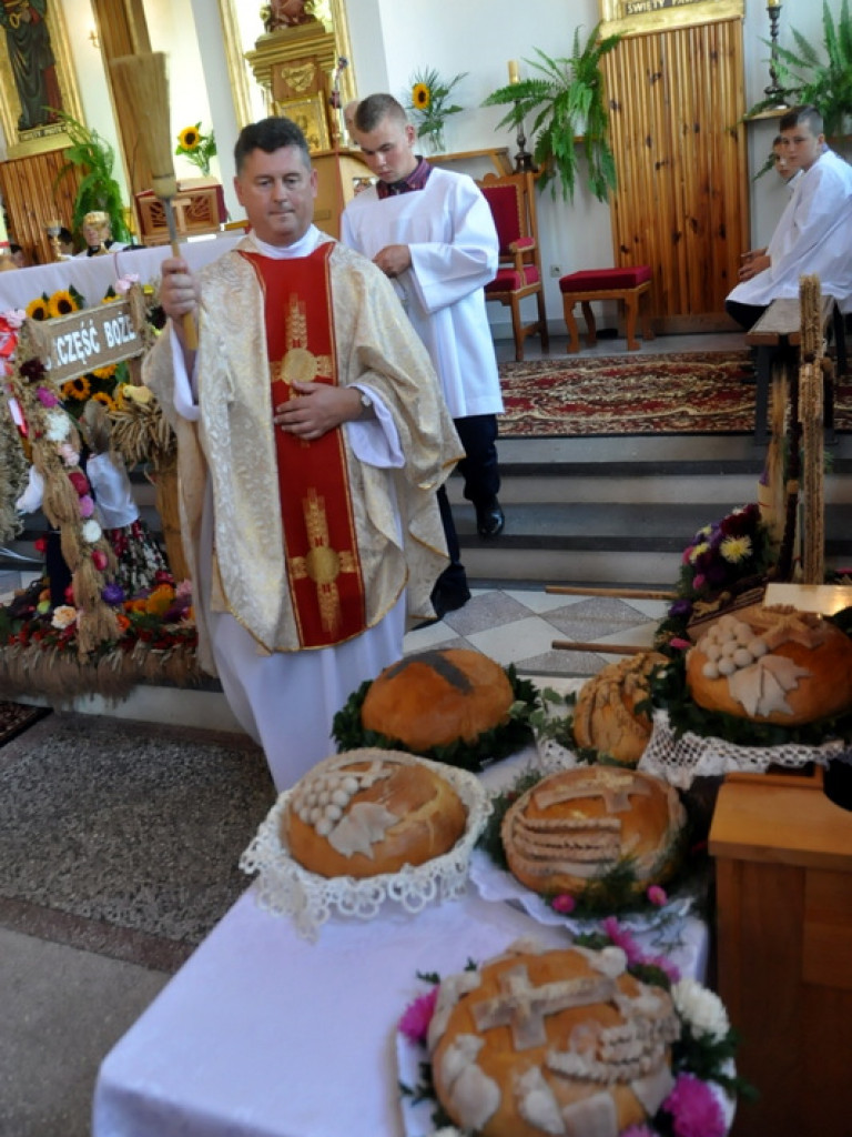 Dożynki gminno - parafialne w Gminie Tarnogród - Wola Różaniecka 2016 (FOTO)