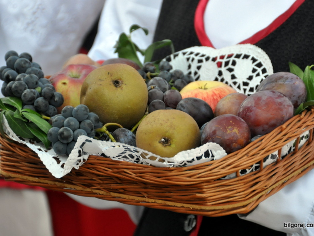 Dożynki gminno - parafialne w Gminie Tarnogród - Wola Różaniecka 2016 (FOTO)