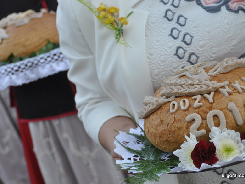 Dożynki gminno - parafialne w Gminie Tarnogród - Wola Różaniecka 2016 (FOTO)