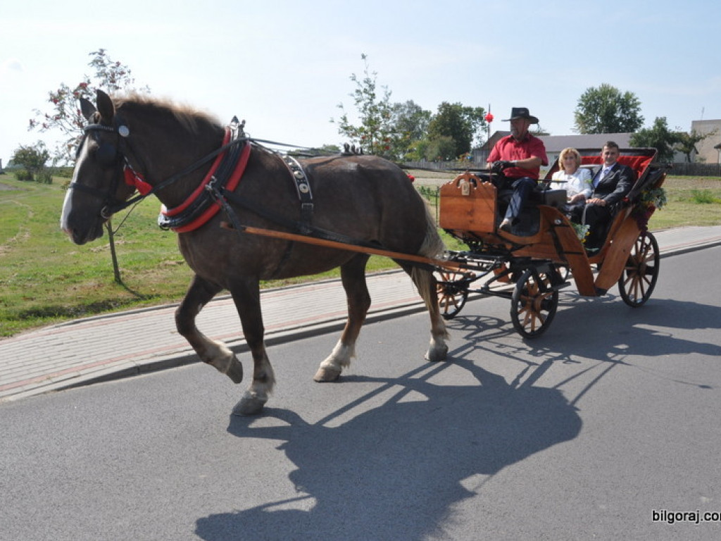 Dożynki gminno - parafialne w Gminie Tarnogród - Wola Różaniecka 2016 (FOTO)