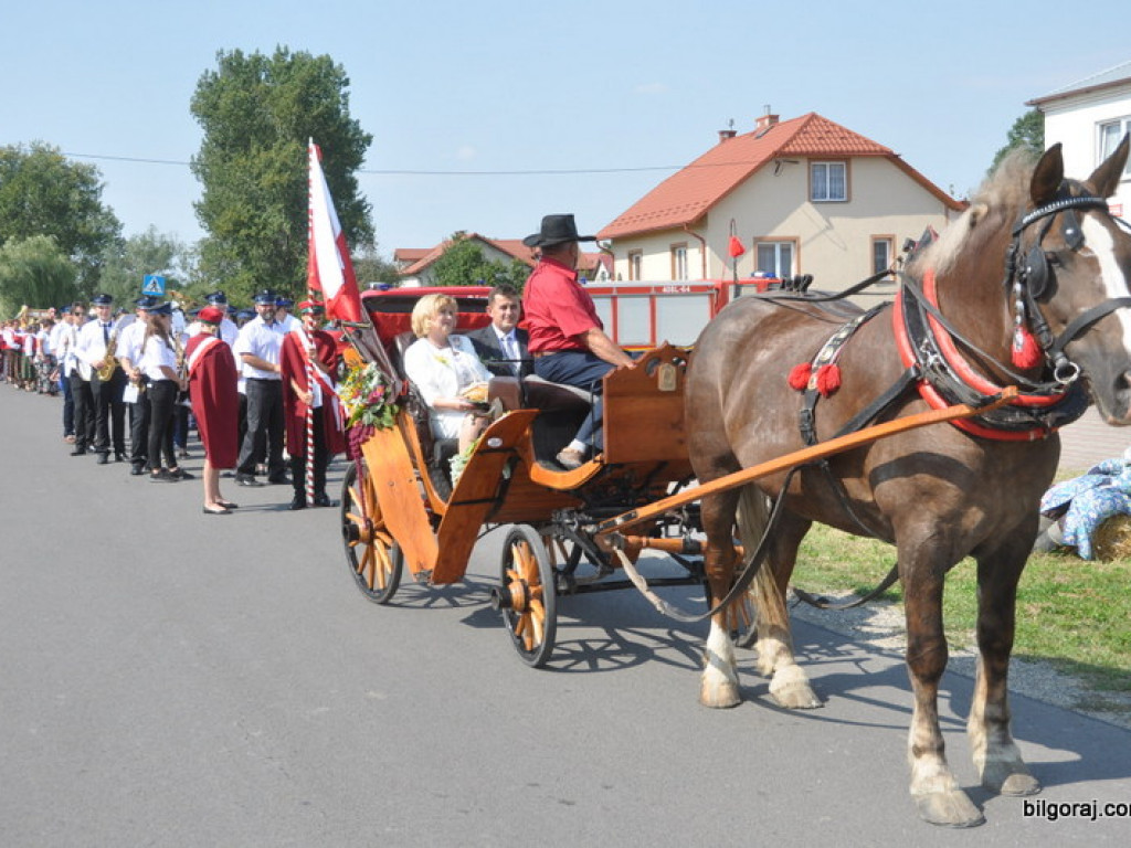 Dożynki gminno - parafialne w Gminie Tarnogród - Wola Różaniecka 2016 (FOTO)