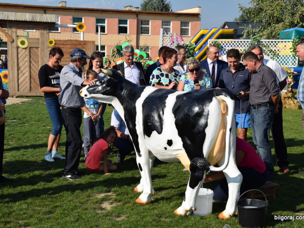 VII Turniej Sołectw i Dzielnic Gminy Tarnogród (FOTO, WYNIKI)