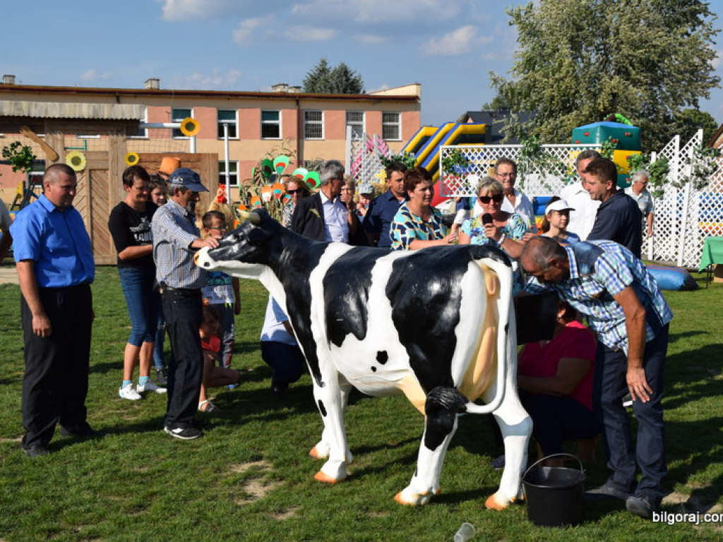 VII Turniej Sołectw i Dzielnic Gminy Tarnogród (FOTO, WYNIKI)