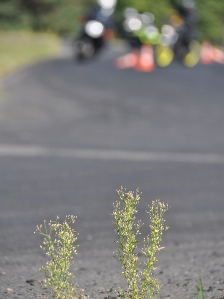 Zakończenie cyklu szkoleń dla motocyklistów