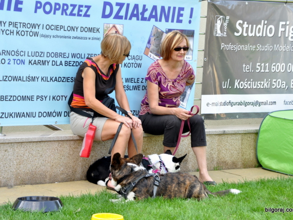 Animal Party (FOTO)