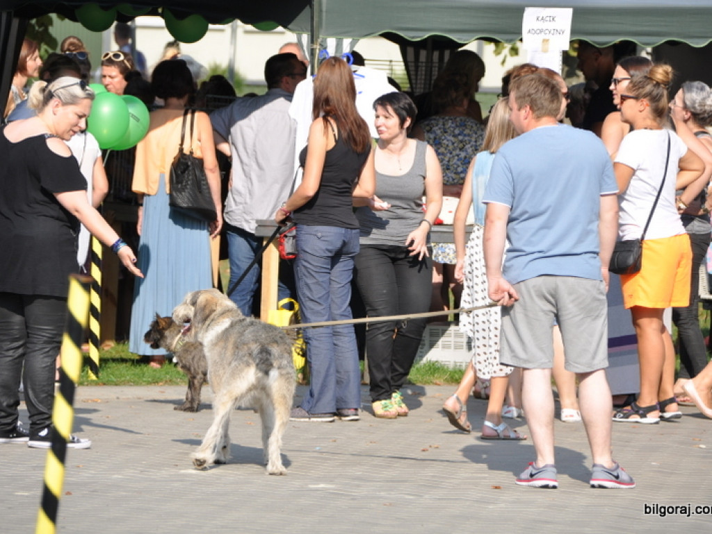Animal Party (FOTO)