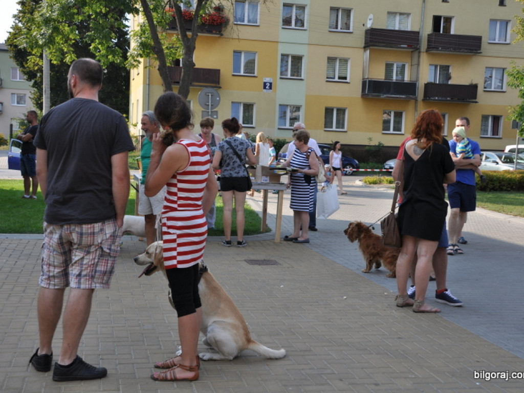 Animal Party (FOTO)