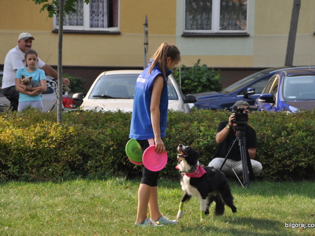 Animal Party (FOTO)