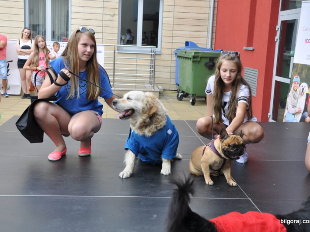 Animal Party (FOTO)