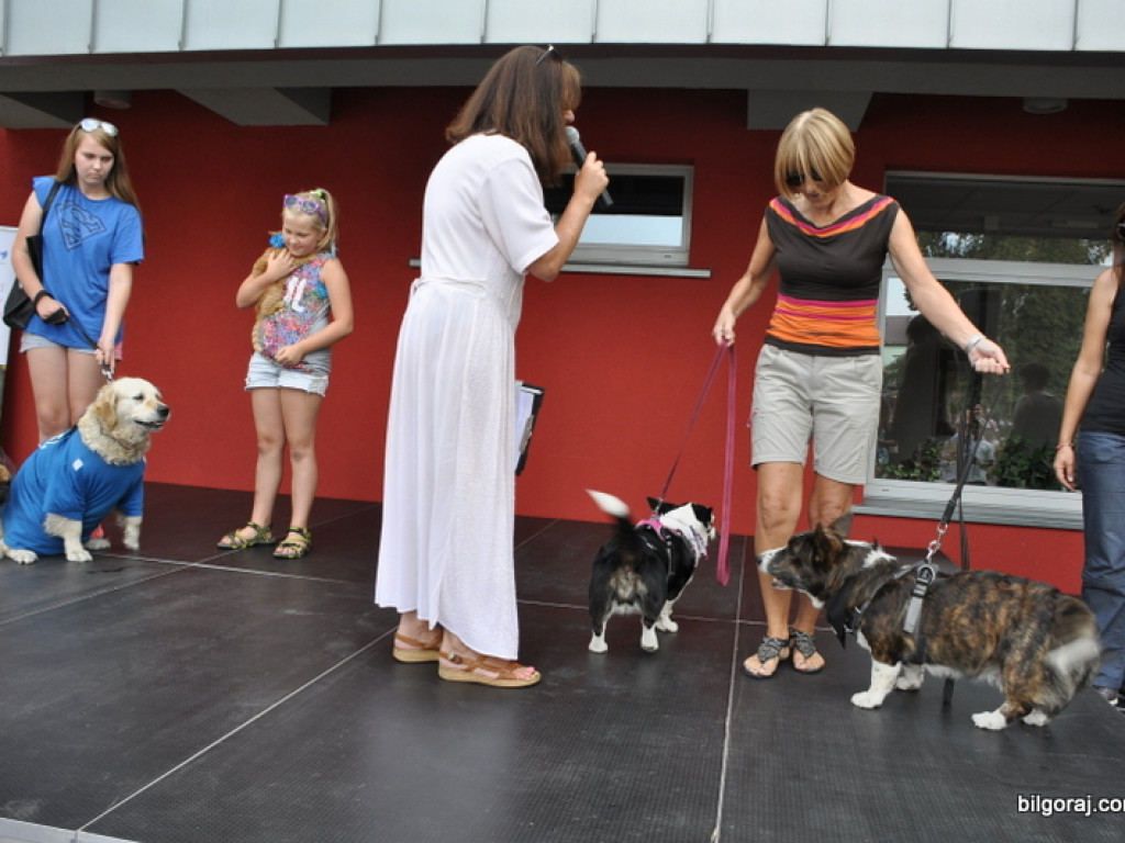 Animal Party (FOTO)