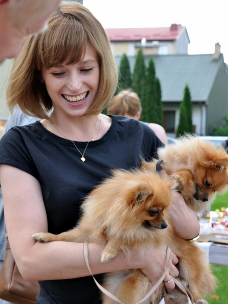 Animal Party (FOTO)