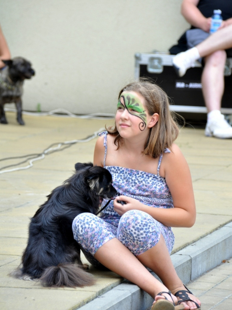 Animal Party (FOTO)
