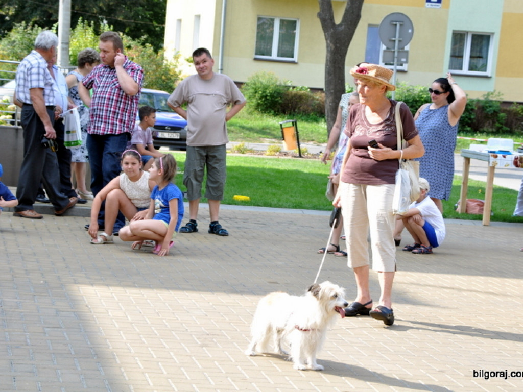 Animal Party (FOTO)