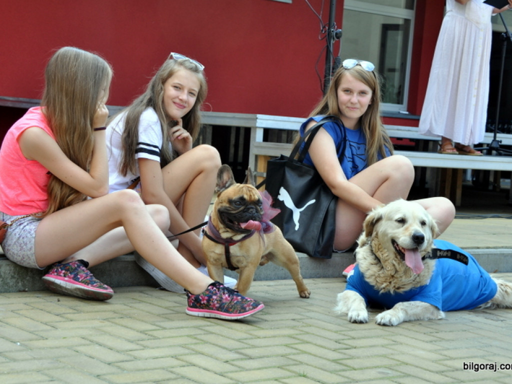 Animal Party (FOTO)