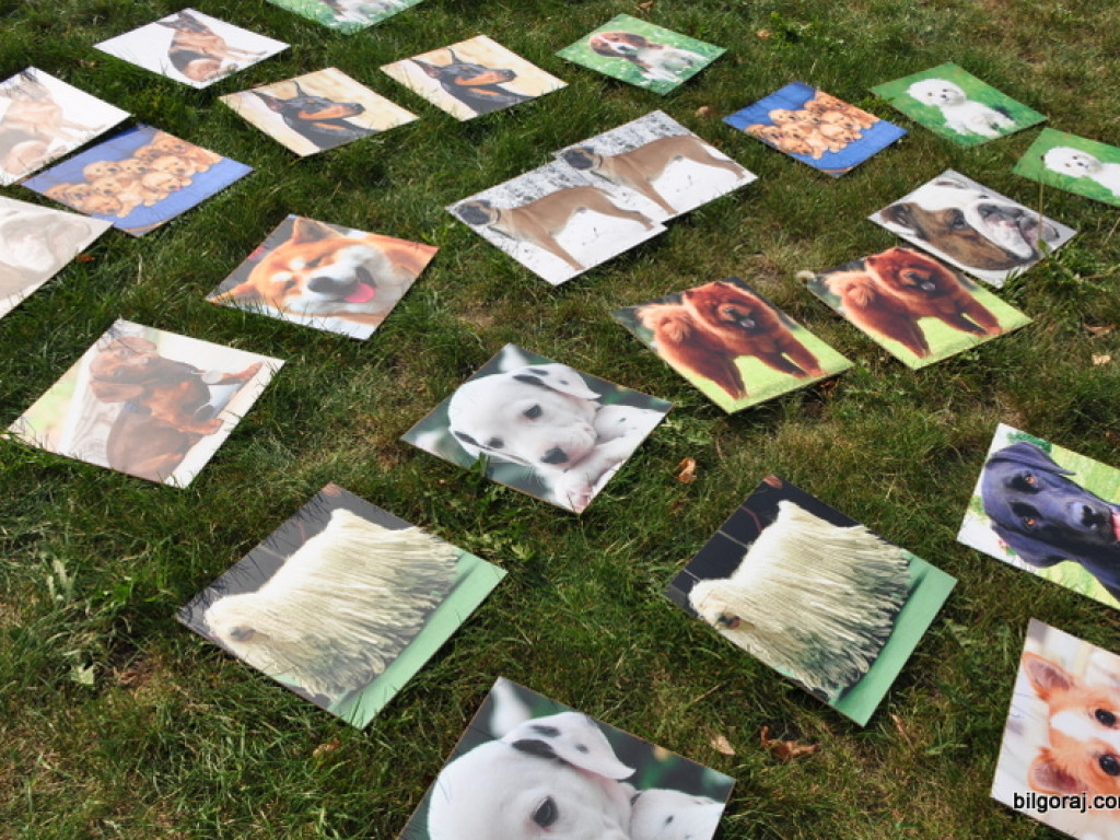Animal Party (FOTO)