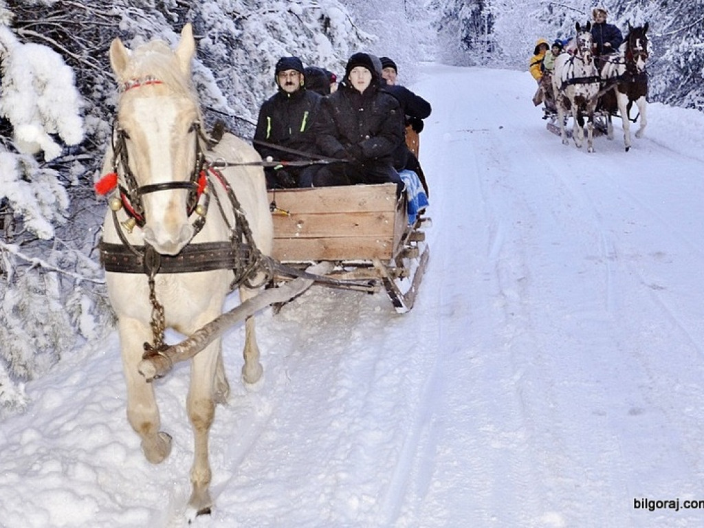 Z kopyta kulig rwie (FOTO)
