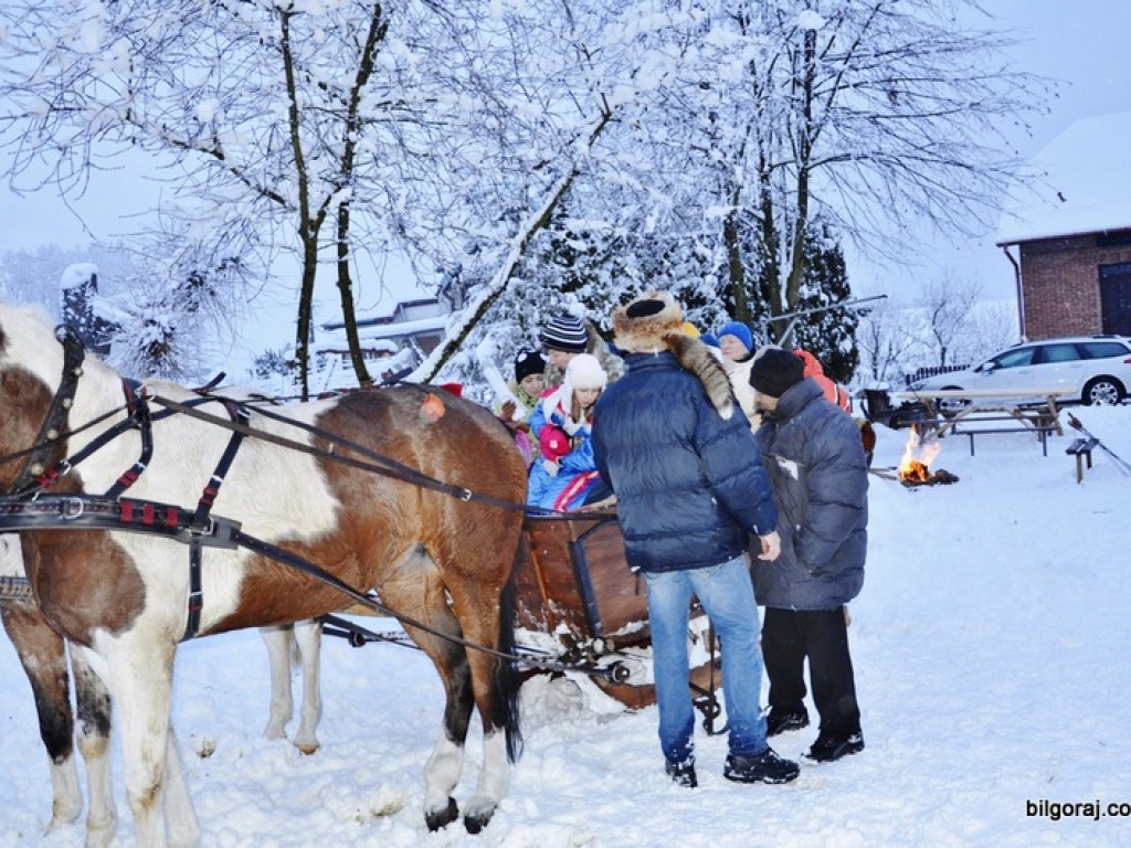Z kopyta kulig rwie (FOTO)