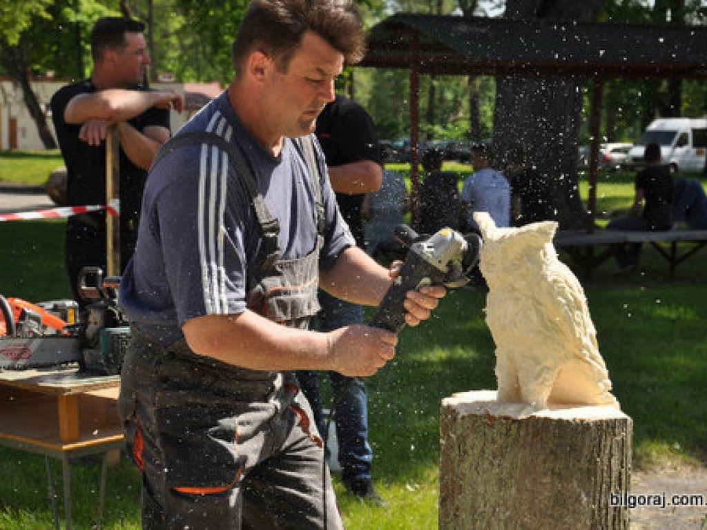V Spotkanie z Zawodem w Zespole Szkół Drzewnych i Ochrony Środowiska w Zwierzyńcu