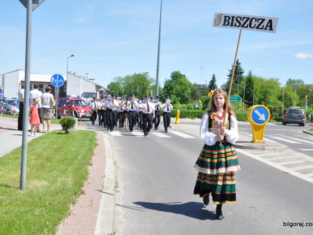 XVII Powiatowy Przegląd Strażackich Orkiestr Dętych (FOTO)