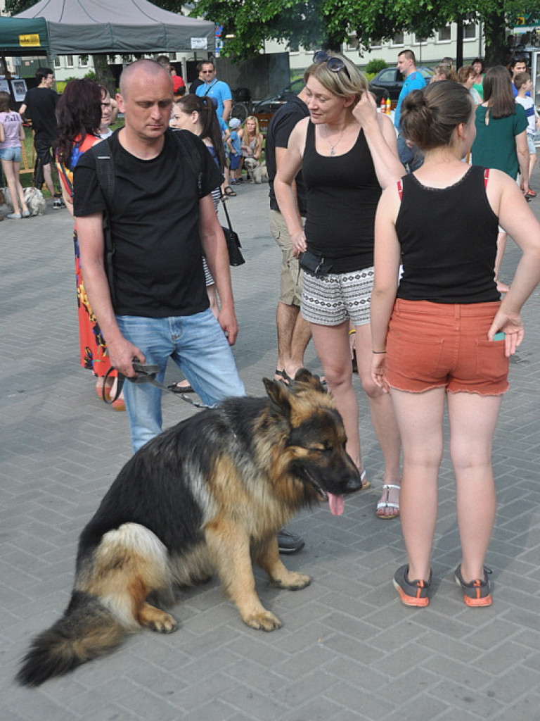 Animal party, czyli rodzinnie dla zwierząt (FOTO)