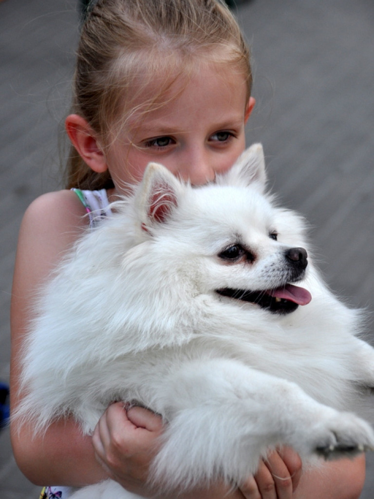 Animal party, czyli rodzinnie dla zwierząt (FOTO)