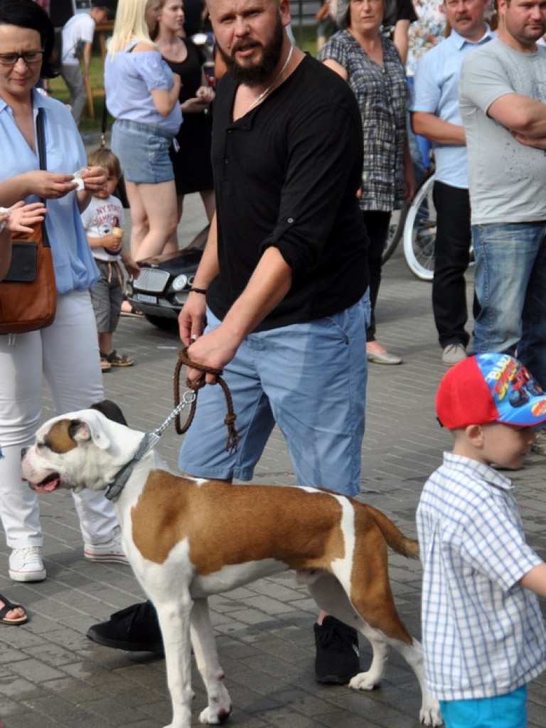 Animal party, czyli rodzinnie dla zwierząt (FOTO)