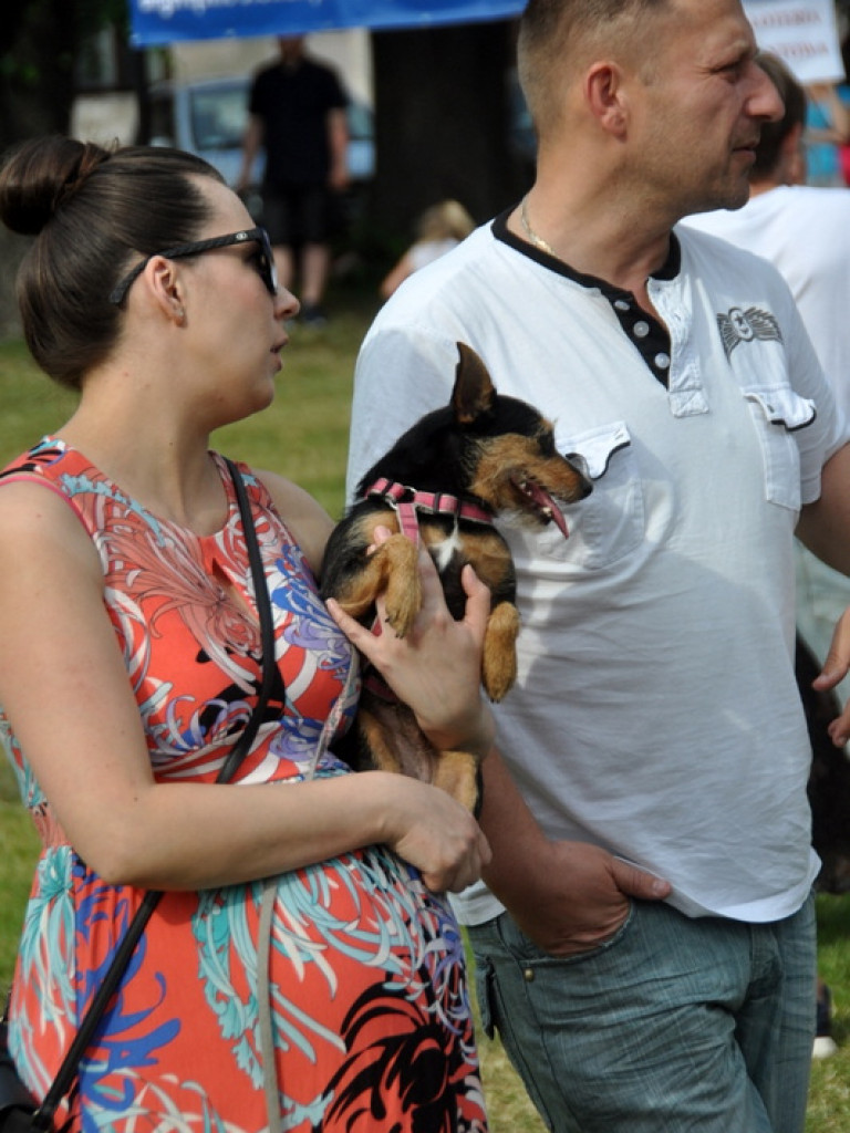 Animal party, czyli rodzinnie dla zwierząt (FOTO)