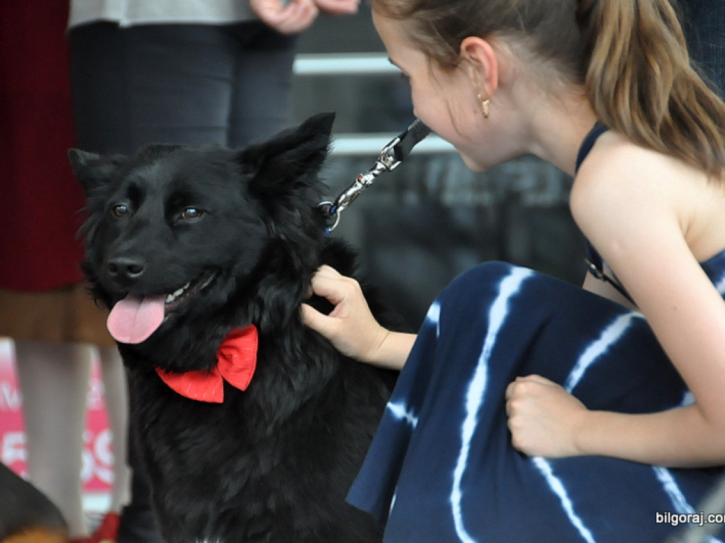 Animal party, czyli rodzinnie dla zwierząt (FOTO)