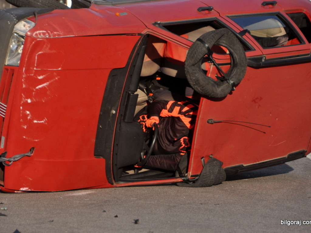 Pokazy Monster Truck (FOTO, VIDEO)