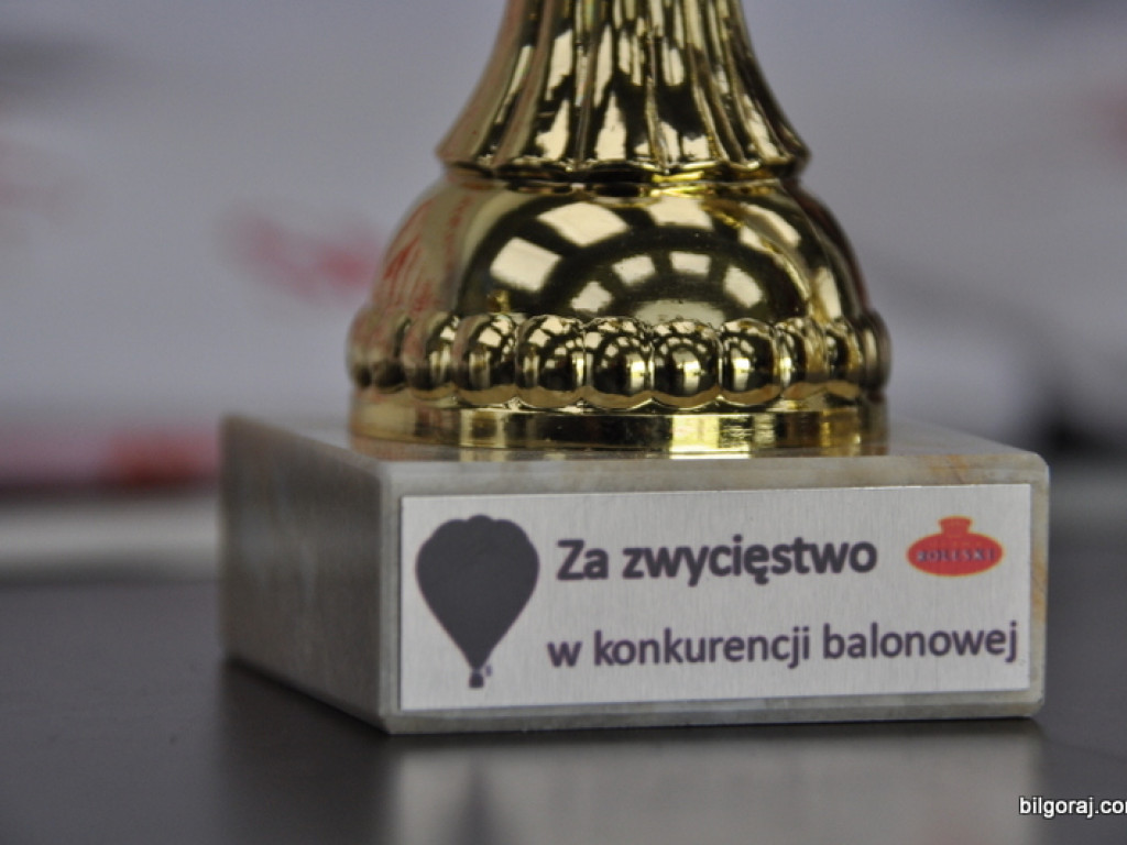 Aeropiknik w ramach Dni Biłgoraja (FOTO)