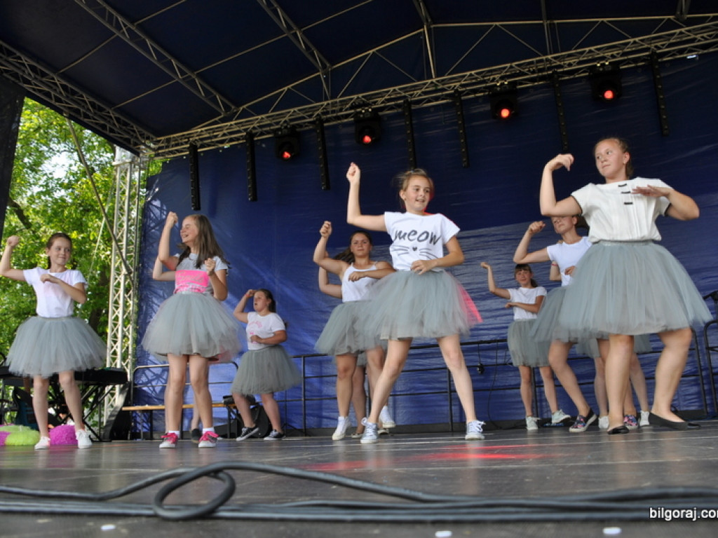 Agro - piknik w Obszy (FOTO)