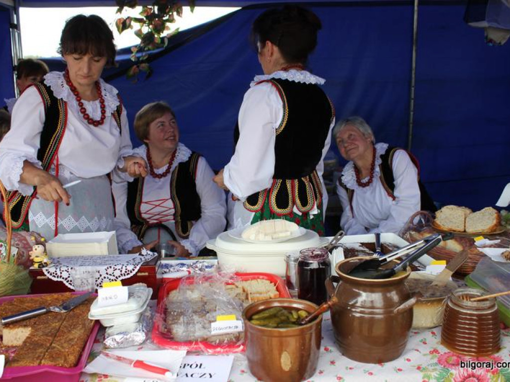 Dzień miodu i pieroga - Biszcza 2017 (FOTO, VIDEO)