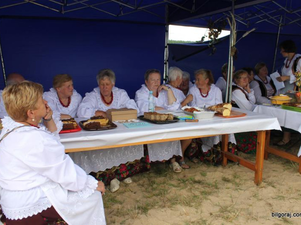Dzień miodu i pieroga - Biszcza 2017 (FOTO, VIDEO)