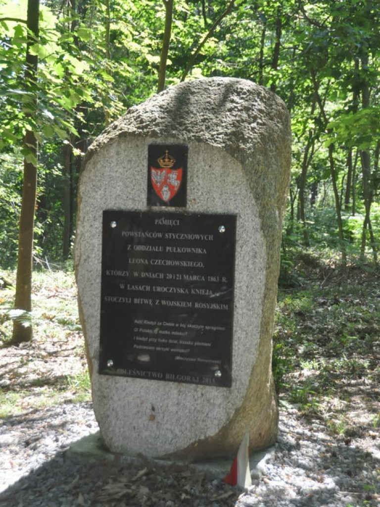 XI Lato na Żurawinowym szlaku (FOTO)