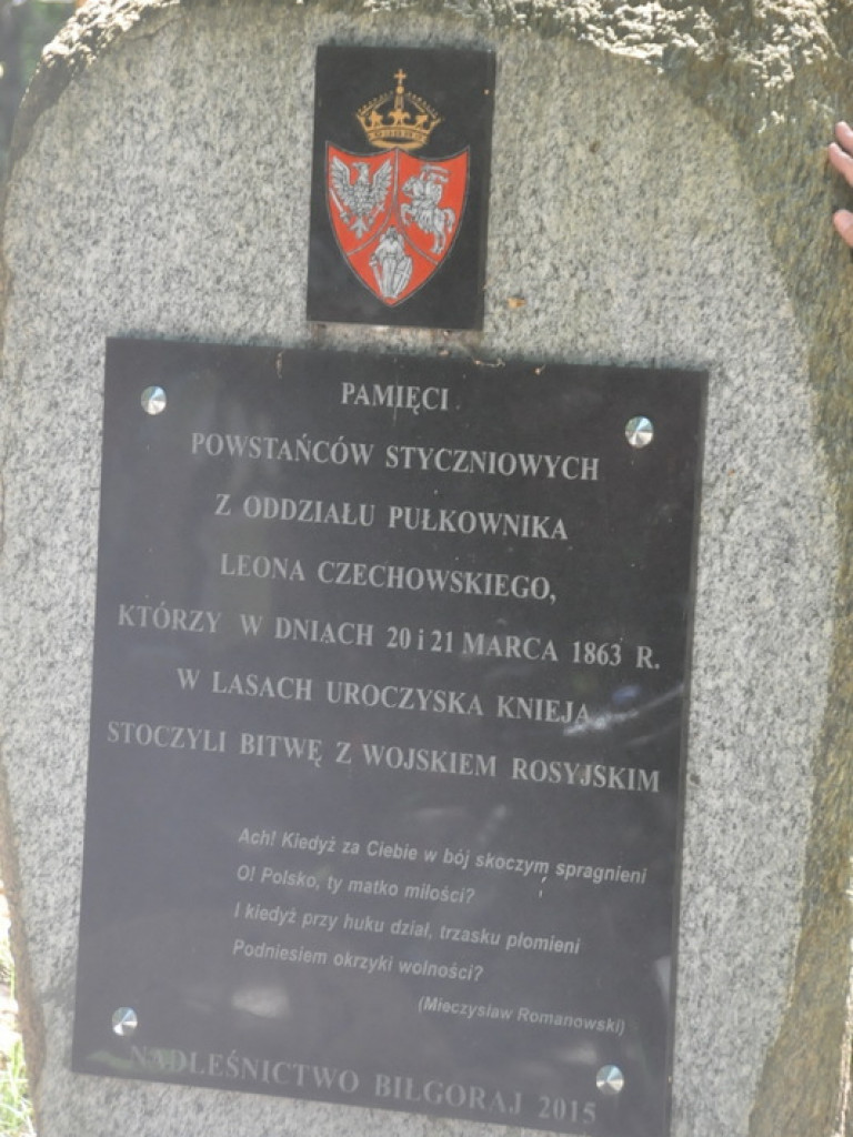 XI Lato na Żurawinowym szlaku (FOTO)