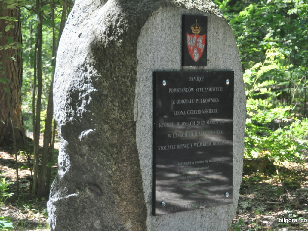 XI Lato na Żurawinowym szlaku (FOTO)