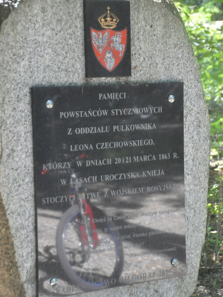 XI Lato na Żurawinowym szlaku (FOTO)